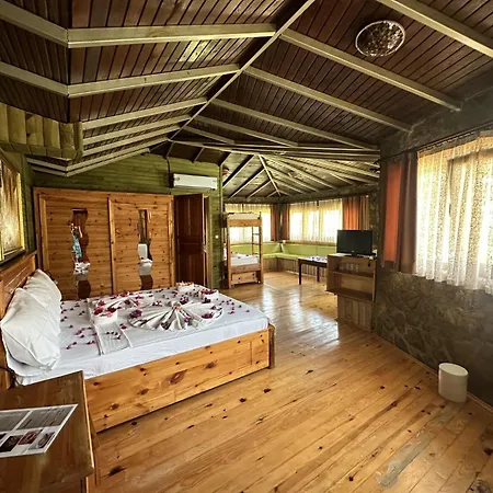 Bahaus 4*