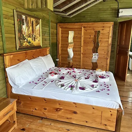 Bahaus Hotel 4*