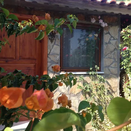 Bahaus Hotell Dalyan