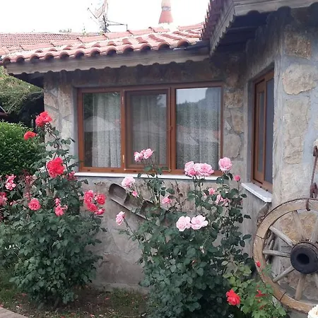 Hotel Bahaus 4*