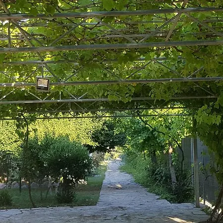 Otel Bahaus Dalyan