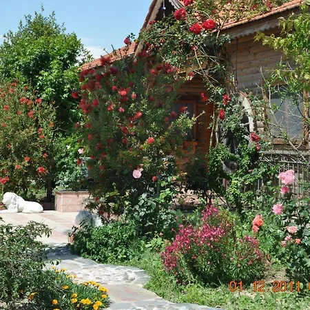Hotel Bahaus 4*