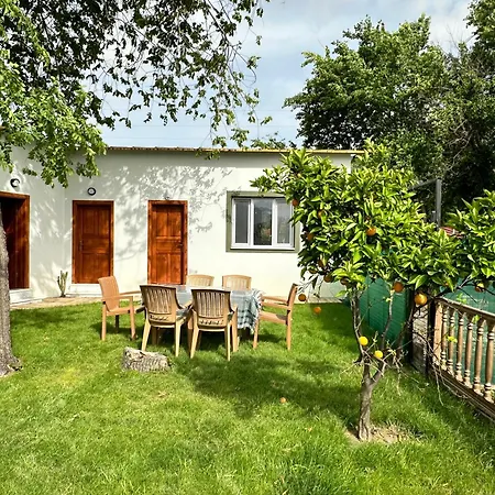 Ξενοδοχείο Bahaus Dalyan