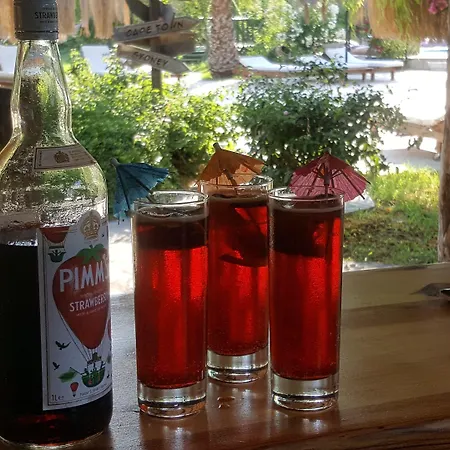 酒店 伯浩斯度假酒店 达利安