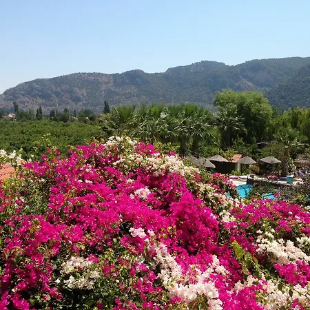 Bahaus 4* Dalyan